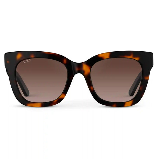 Stormi | Polarized