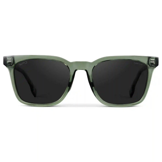 Chip | Polarized
